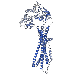 25131_7shn_B_v1-2
Cryo-EM structure of oleoyl-CoA-bound human peroxisomal fatty acid transporter ABCD1