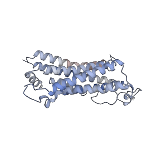 25135_7shs_A_v1-2
Apo-ChRmine in MSP1E3D1 lipid nanodisc