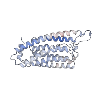 25135_7shs_B_v1-2
Apo-ChRmine in MSP1E3D1 lipid nanodisc