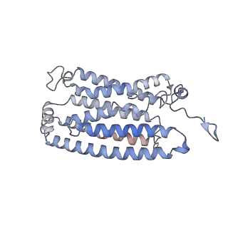 25135_7shs_C_v1-2
Apo-ChRmine in MSP1E3D1 lipid nanodisc