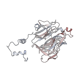 40477_8sh2_B_v1-2
KLHDC2 in complex with EloB and EloC