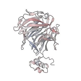 40477_8sh2_D_v1-2
KLHDC2 in complex with EloB and EloC