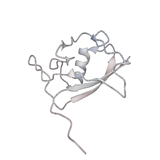 40477_8sh2_E_v1-2
KLHDC2 in complex with EloB and EloC