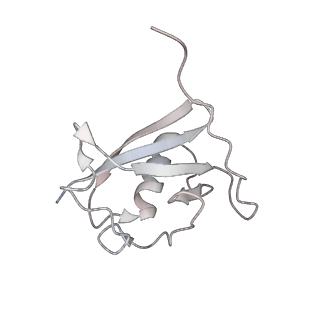 40477_8sh2_G_v1-2
KLHDC2 in complex with EloB and EloC