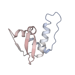 40477_8sh2_L_v1-2
KLHDC2 in complex with EloB and EloC