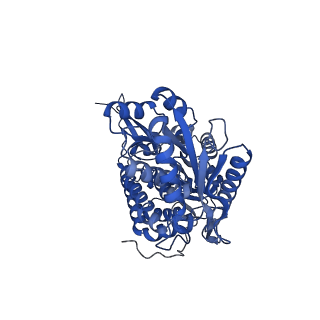 40493_8shs_B_v1-0
human liver mitochondrial Aldehyde dehydrogenase ALDH2