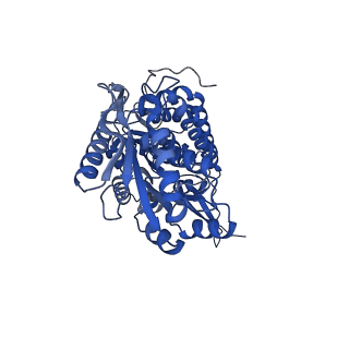 40493_8shs_C_v1-0
human liver mitochondrial Aldehyde dehydrogenase ALDH2