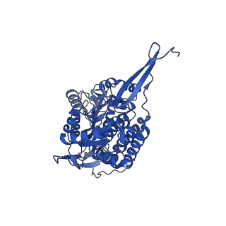 40493_8shs_D_v1-0
human liver mitochondrial Aldehyde dehydrogenase ALDH2