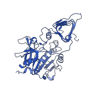 10208_6si8_A_v1-1
Escherichia coli AGPase in complex with AMP.
