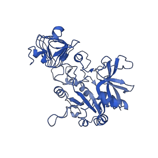 10208_6si8_B_v1-1
Escherichia coli AGPase in complex with AMP.