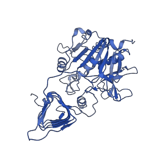 10208_6si8_C_v1-1
Escherichia coli AGPase in complex with AMP.