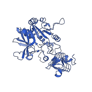 10208_6si8_D_v1-1
Escherichia coli AGPase in complex with AMP.