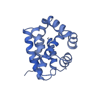 10209_6sic_A_v1-2
Cryo-EM structure of the Type III-B Cmr-beta bound to cognate target RNA