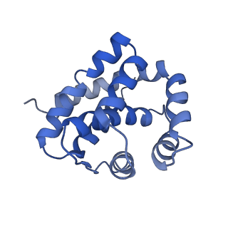 10209_6sic_B_v1-2
Cryo-EM structure of the Type III-B Cmr-beta bound to cognate target RNA