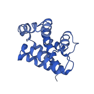 10209_6sic_C_v1-2
Cryo-EM structure of the Type III-B Cmr-beta bound to cognate target RNA