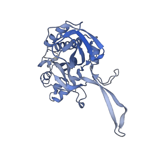 10209_6sic_D_v1-2
Cryo-EM structure of the Type III-B Cmr-beta bound to cognate target RNA