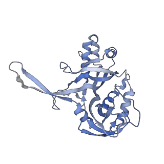 10209_6sic_G_v1-2
Cryo-EM structure of the Type III-B Cmr-beta bound to cognate target RNA
