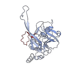 10209_6sic_H_v1-2
Cryo-EM structure of the Type III-B Cmr-beta bound to cognate target RNA