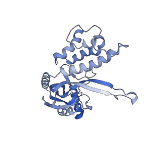 10209_6sic_I_v1-2
Cryo-EM structure of the Type III-B Cmr-beta bound to cognate target RNA