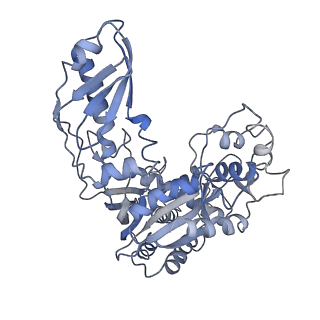 10209_6sic_J_v1-2
Cryo-EM structure of the Type III-B Cmr-beta bound to cognate target RNA