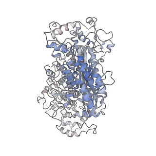 10209_6sic_K_v1-2
Cryo-EM structure of the Type III-B Cmr-beta bound to cognate target RNA