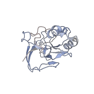 10209_6sic_L_v1-2
Cryo-EM structure of the Type III-B Cmr-beta bound to cognate target RNA