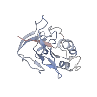 10209_6sic_M_v1-2
Cryo-EM structure of the Type III-B Cmr-beta bound to cognate target RNA