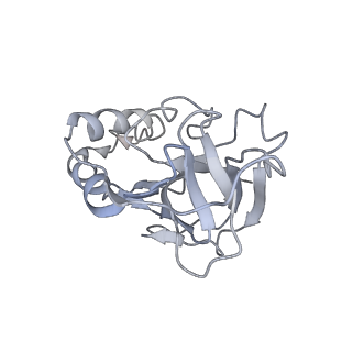 10209_6sic_N_v1-2
Cryo-EM structure of the Type III-B Cmr-beta bound to cognate target RNA