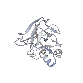 10209_6sic_O_v1-2
Cryo-EM structure of the Type III-B Cmr-beta bound to cognate target RNA