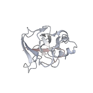 10209_6sic_P_v1-2
Cryo-EM structure of the Type III-B Cmr-beta bound to cognate target RNA