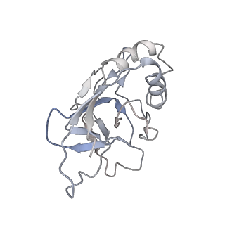 10209_6sic_Q_v1-2
Cryo-EM structure of the Type III-B Cmr-beta bound to cognate target RNA