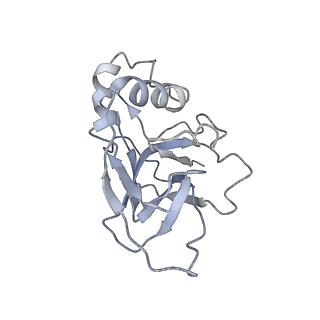 10209_6sic_R_v1-2
Cryo-EM structure of the Type III-B Cmr-beta bound to cognate target RNA