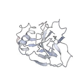 10209_6sic_S_v1-2
Cryo-EM structure of the Type III-B Cmr-beta bound to cognate target RNA