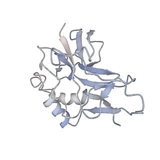 10209_6sic_T_v1-2
Cryo-EM structure of the Type III-B Cmr-beta bound to cognate target RNA
