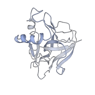 10209_6sic_W_v1-2
Cryo-EM structure of the Type III-B Cmr-beta bound to cognate target RNA