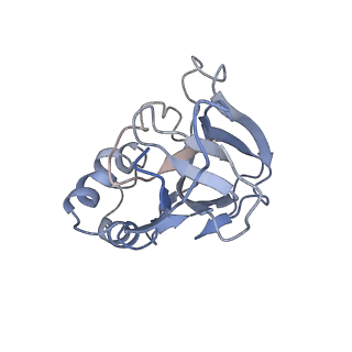10209_6sic_m_v1-2
Cryo-EM structure of the Type III-B Cmr-beta bound to cognate target RNA