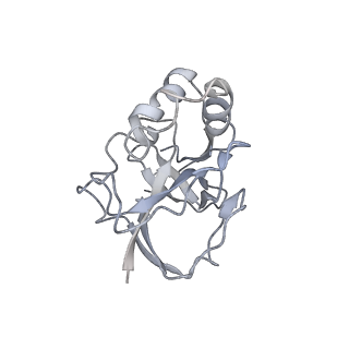 10209_6sic_o_v1-2
Cryo-EM structure of the Type III-B Cmr-beta bound to cognate target RNA