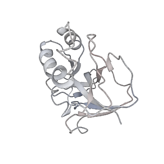 10209_6sic_p_v1-2
Cryo-EM structure of the Type III-B Cmr-beta bound to cognate target RNA