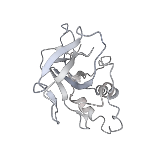 10209_6sic_s_v1-2
Cryo-EM structure of the Type III-B Cmr-beta bound to cognate target RNA