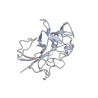 10209_6sic_w_v1-2
Cryo-EM structure of the Type III-B Cmr-beta bound to cognate target RNA