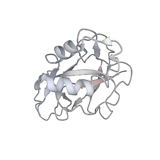 10209_6sic_x_v1-2
Cryo-EM structure of the Type III-B Cmr-beta bound to cognate target RNA