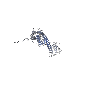 10210_6sih_C_v1-2
Structure of bacterial flagellar capping protein FliD