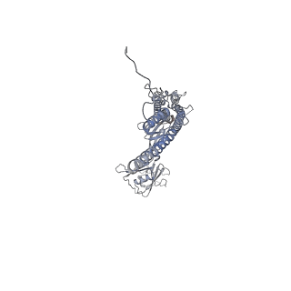 10210_6sih_E_v1-2
Structure of bacterial flagellar capping protein FliD