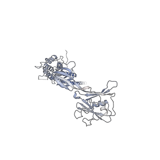 10210_6sih_F_v1-2
Structure of bacterial flagellar capping protein FliD