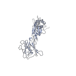 10210_6sih_G_v1-2
Structure of bacterial flagellar capping protein FliD