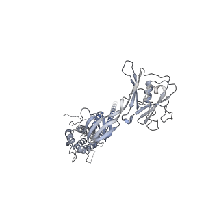 10210_6sih_H_v1-2
Structure of bacterial flagellar capping protein FliD