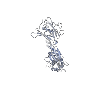 10210_6sih_I_v1-2
Structure of bacterial flagellar capping protein FliD