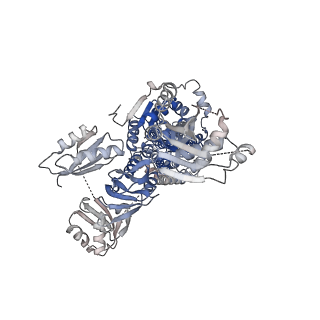 25137_7si3_A_v1-0
Consensus structure of ATP7B