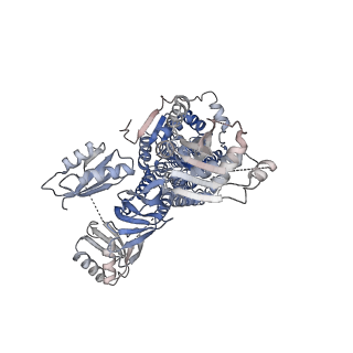 25138_7si6_A_v1-0
Structure of ATP7B in state 1