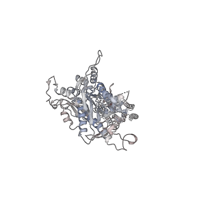 25144_7sim_A_v1-0
Structure of positive allosteric modulator-free active human calcium-sensing receptor